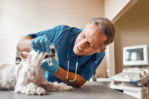 Best Urgent Tooth Repair  in Eagle Lake, TX